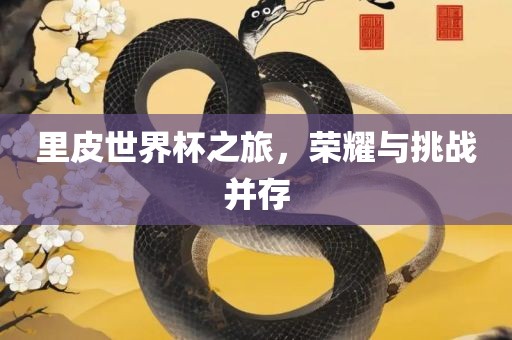 里皮世界杯之旅，荣耀与挑战并存