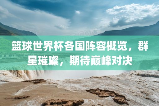 篮球世界杯各国阵容概览，群星璀璨，期待巅峰对决眉山市正发家政服务有限公司