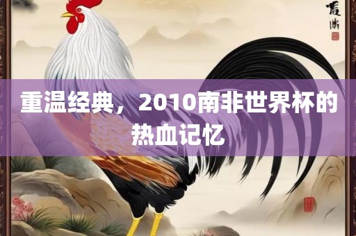 重温经典，2010南非世界杯的热血记忆