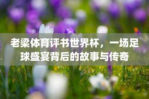 老梁体育评书世界杯，一场足球盛宴背后的故事与传奇