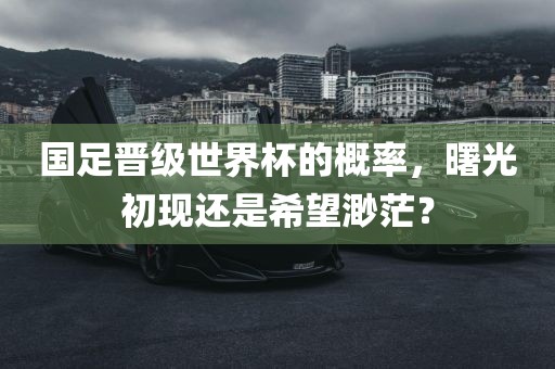 国足晋级世界杯的概率，曙光初现还是希望渺茫？眉山市正发家政服务有限公司