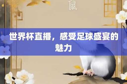 世界杯直播，感受足球盛宴的魅力眉山市正发家政服务有限公司
