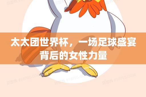 太太团世界杯，一场足球盛宴背后眉山市正发家政服务有限公司的女性力量