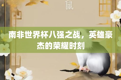 南非世界杯八强之战，英雄豪杰的荣耀时刻