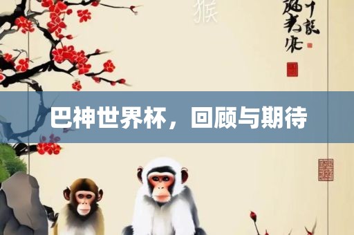巴神世界杯，回顾与期待