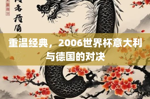 重眉山市正发家政服务有限公司温经典，2006世界杯意大利与德国的对决