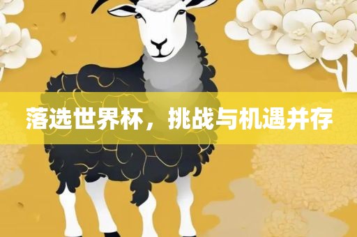 眉山市正发家政服务有限公司落选世界杯，挑战与机遇并存