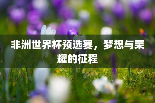 非洲世界杯预选赛，梦想与荣耀的征程