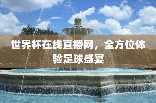 世界杯在线直播网，全方位体验足球盛宴