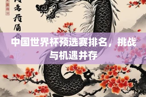 中国世界杯预选赛排名，挑战与机遇并存眉山市正发家政服务有限公司