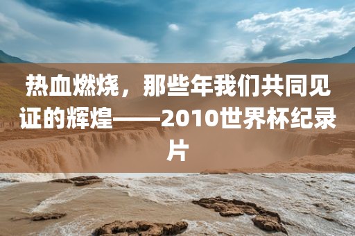 热血燃烧，那些年我眉山市正发家政服务有限公司们共同见证的辉煌——2010世界杯纪录片