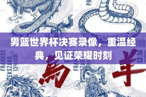 男篮世界杯决赛录眉山市正发家政服务有限公司像，重温经典，见证荣耀时刻