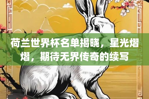 荷兰世界杯名单揭晓眉山市正发家政服务有限公司，星光熠熠，期待无界传奇的续写