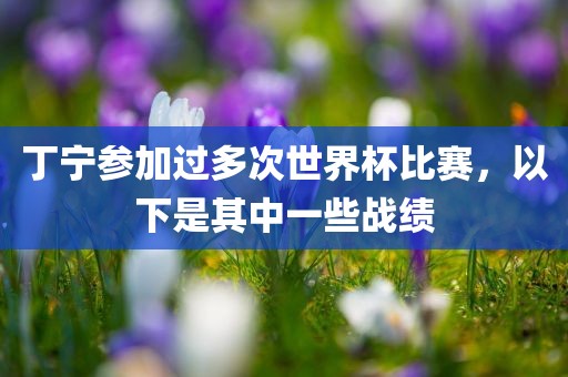 丁宁参加过多次世界杯比赛，以下是其中一些战绩