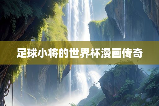 足球小将的世界杯漫画传奇眉山市正发家政服务有限公司