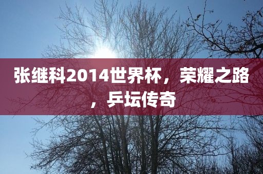 张继科2014世界杯，荣耀之路，乒坛传奇