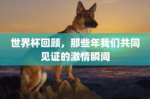 世界杯回顾，那些年我们共同见证的激情瞬间