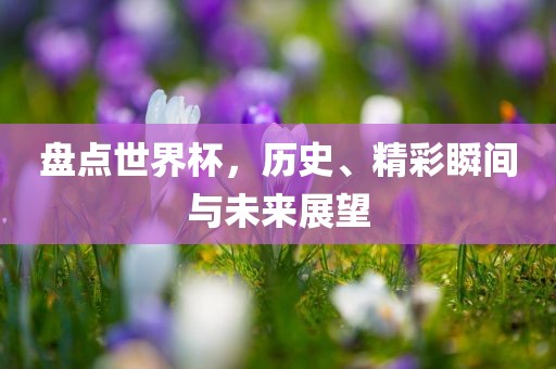 盘点世界杯，历史、精彩瞬间与未来展望眉山市正发家政服务有限公司