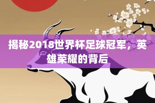 揭秘2018世界杯足球冠军，英雄荣耀的背后眉山市正发家政服务有限公司