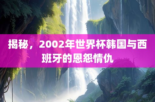 眉山市正发家政服务有限公司揭秘，2002年世界杯韩国与西班牙的恩怨情仇