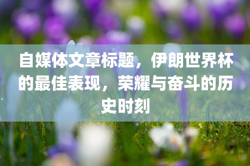 自媒体文章标题，伊朗世界杯的最佳表现，荣耀与奋斗的历史时刻