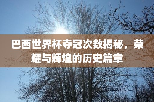 巴西世界杯夺冠次数揭秘，荣耀与辉煌的历史篇章