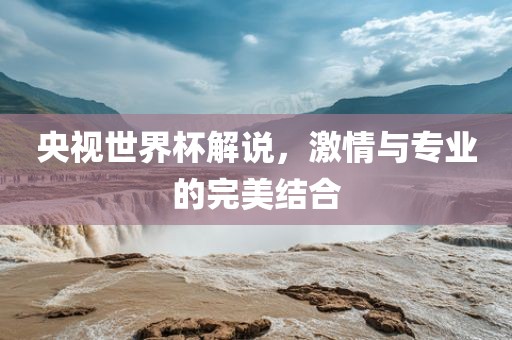 央视世界杯解说，激情与专业的完美结合