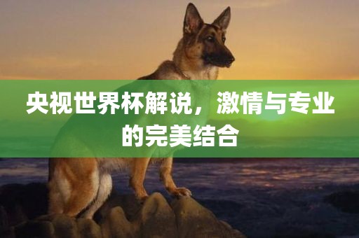 央视世界杯解说，激情与专业的完美结合