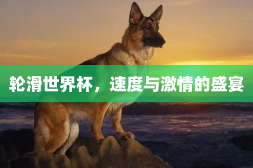 轮滑世界杯，速度与激情的盛宴