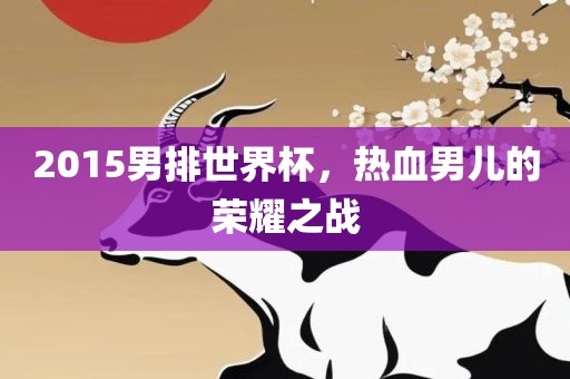 2015男排世界杯，热血男儿的荣耀之战