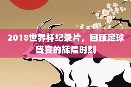 2018世界杯纪录片，回顾足球盛宴的辉煌时刻