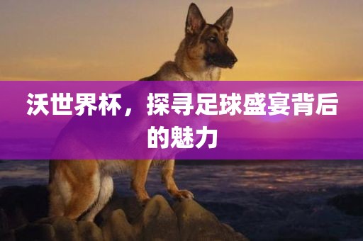 沃世界杯，探寻足球盛宴背后的魅力眉山市正发家政服务有限公司