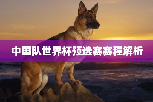 中国队世界杯预选赛赛程解析