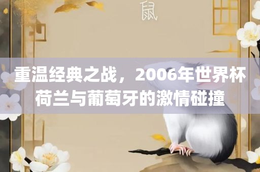重温经典之战，2006年世界杯荷兰与葡萄牙的激情碰撞眉山市正发家政服务有限公司