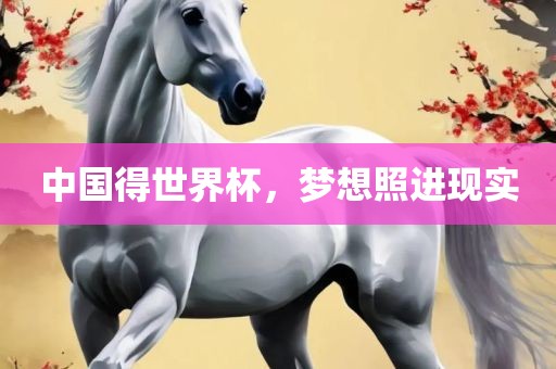 中国得世界杯，梦想照进现实