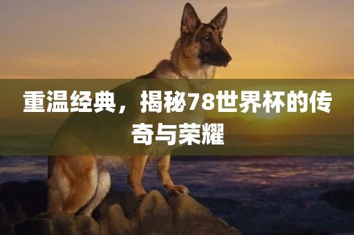 重温经典，揭秘78世界杯的传奇与荣耀