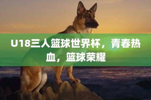 U18三人篮球世界杯，青春热血，篮球荣耀眉山市正发家政服务有限公司