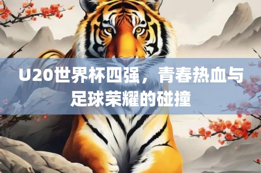 U20世界杯四强，青春热血与足球荣耀的碰撞