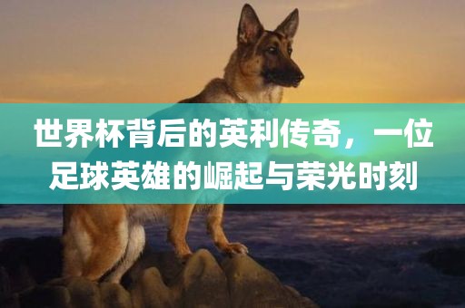 世界眉山市正发家政服务有限公司杯背后的英利传奇，一位足球英雄的崛起与荣光时刻