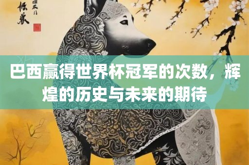 巴西赢得世界杯冠军的次数，辉煌的历史与未来的期待眉山市正发家政服务有限公司