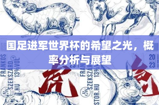 国足进军世界杯的希望之光，概率分析与展望