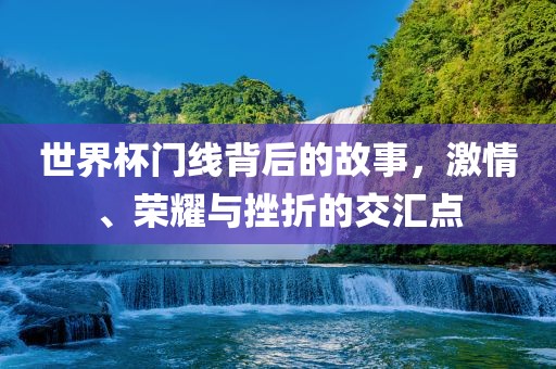 世界杯门线背后的故事，激情、荣耀与挫折的交汇点眉山市正发家政服务有限公司