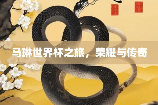 马琳世界杯之旅，荣耀与传奇
