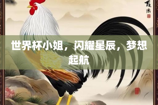 世界杯小姐，闪耀星辰，梦想起航