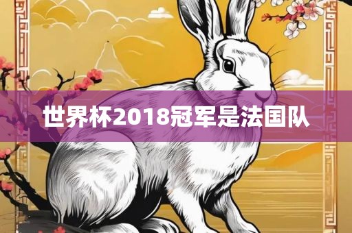 世界杯2018冠军是法国队眉山市正发家政服务有限公司