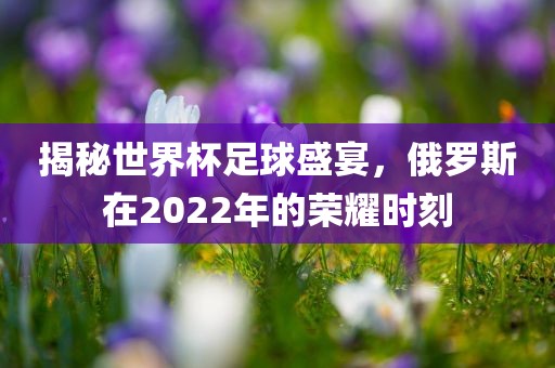 揭秘世界杯足球盛宴，俄罗斯在2022年的荣耀时刻