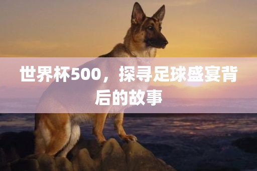 wushuxia 第7页