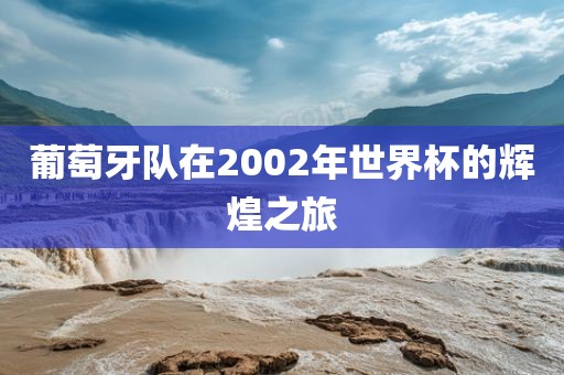 葡萄牙队在2002年世界杯的辉煌之旅