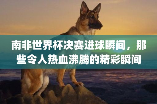南非世界杯决赛进球瞬间，那些令人热血沸腾的精彩瞬间眉山市正发家政服务有限公司