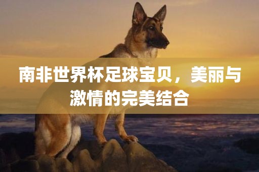 南非世界杯足球宝贝，美丽与激情的完美结合